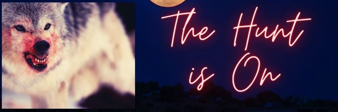 Kody I Futures & Options Trader banner