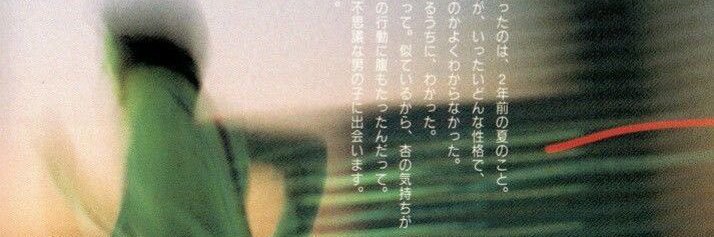 master splinter banner