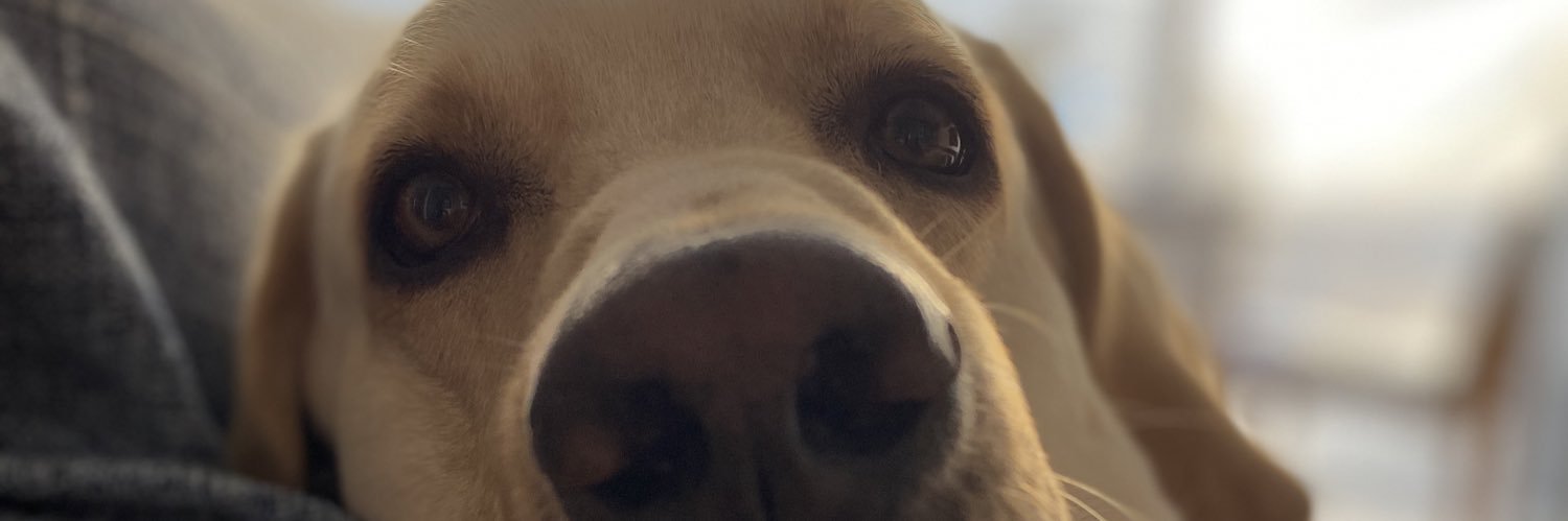 maripinegone's profile banner image