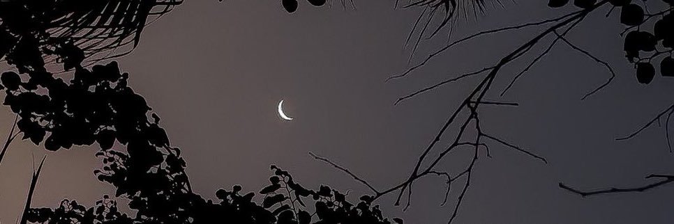 saraiihab's profile banner image