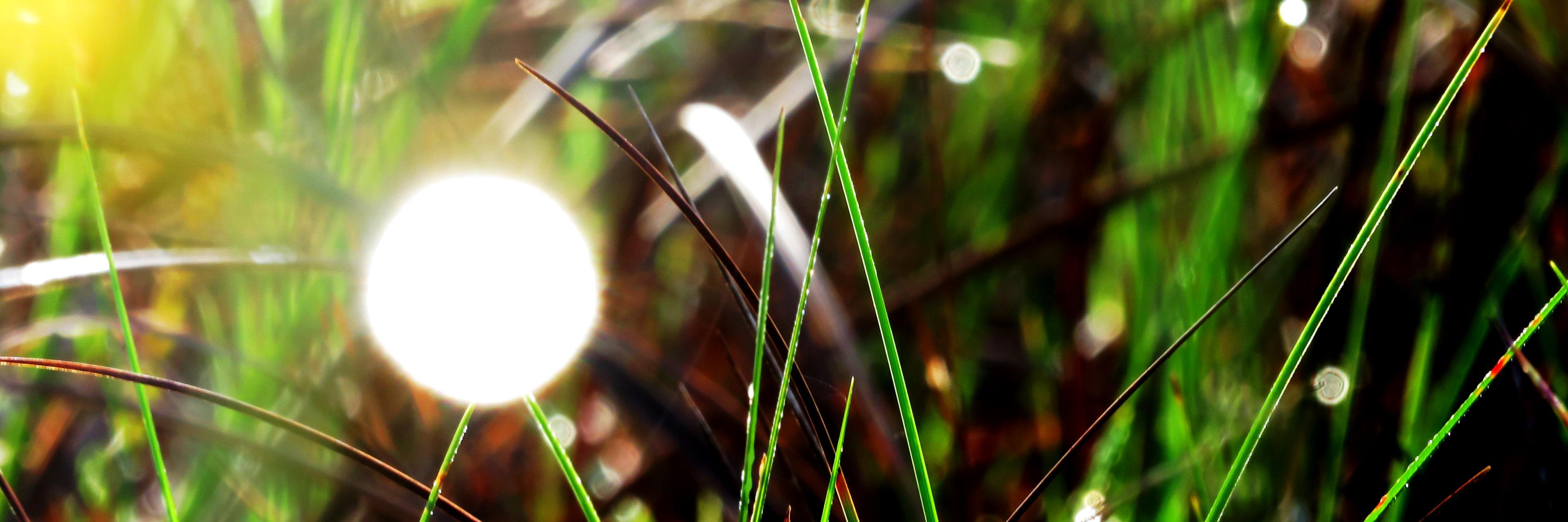 EarthyMusic's profile banner image