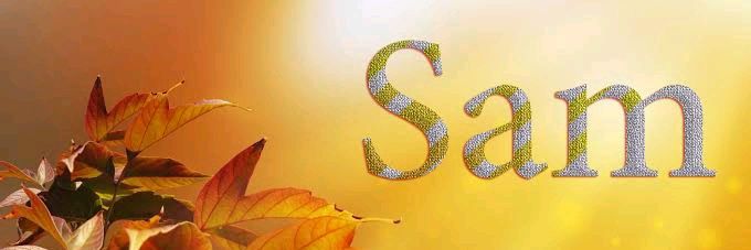 Salum02595753's profile banner image