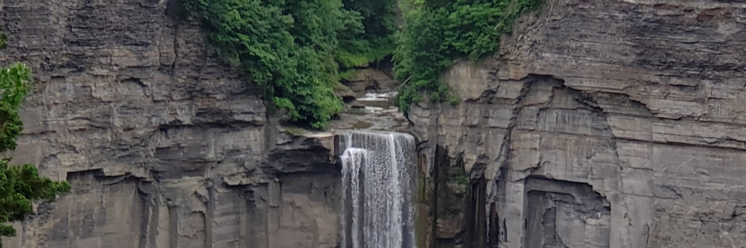 #twithaca Retweet banner