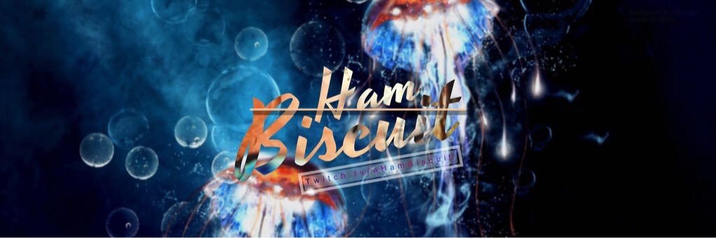 AHamBiscuit's profile banner image