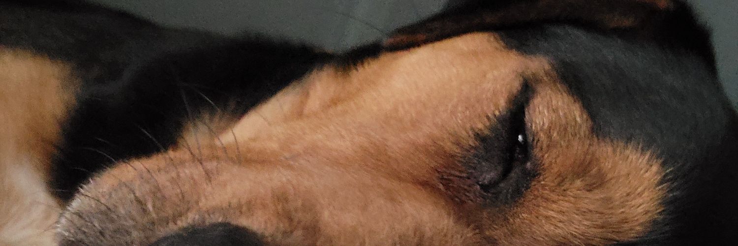elfo_al's profile banner image