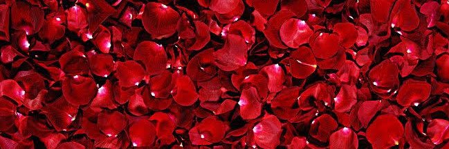 🌹ROSELYN🌹 banner