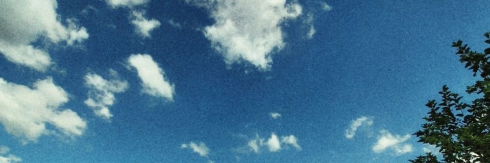 lupepicelli's profile banner image