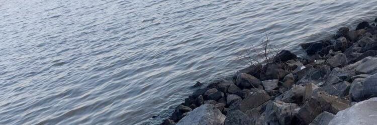 _brip's profile banner image