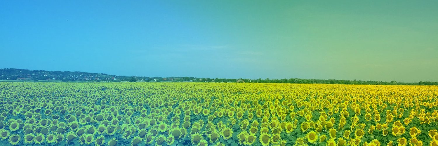 Marcelo Testa banner