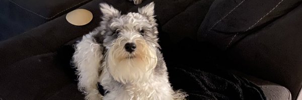 jesse4168 Profile Banner