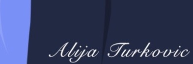 Alija Turkovic banner