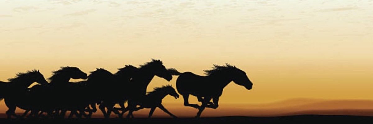 umikxxt's profile banner image