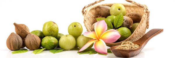 Ayurveda Family Profile Banner