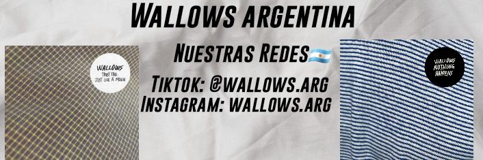 ArgWallows's profile banner image