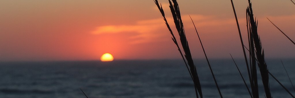 thisizhan's profile banner image