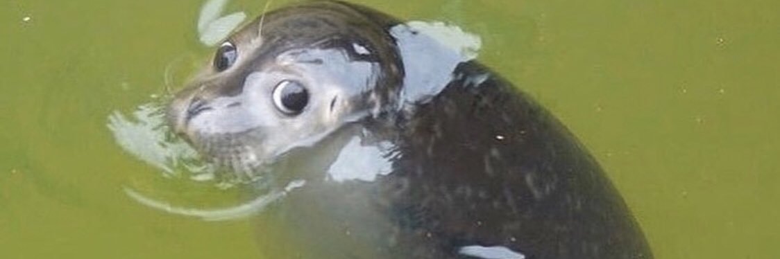SeanzoBall's profile banner image