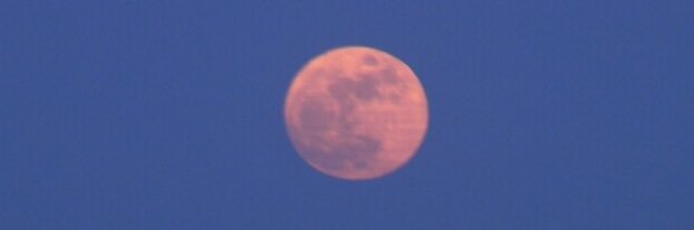 dreamingasleep's profile banner image