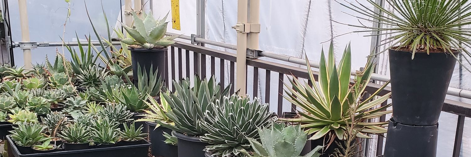 ROUKA plants banner