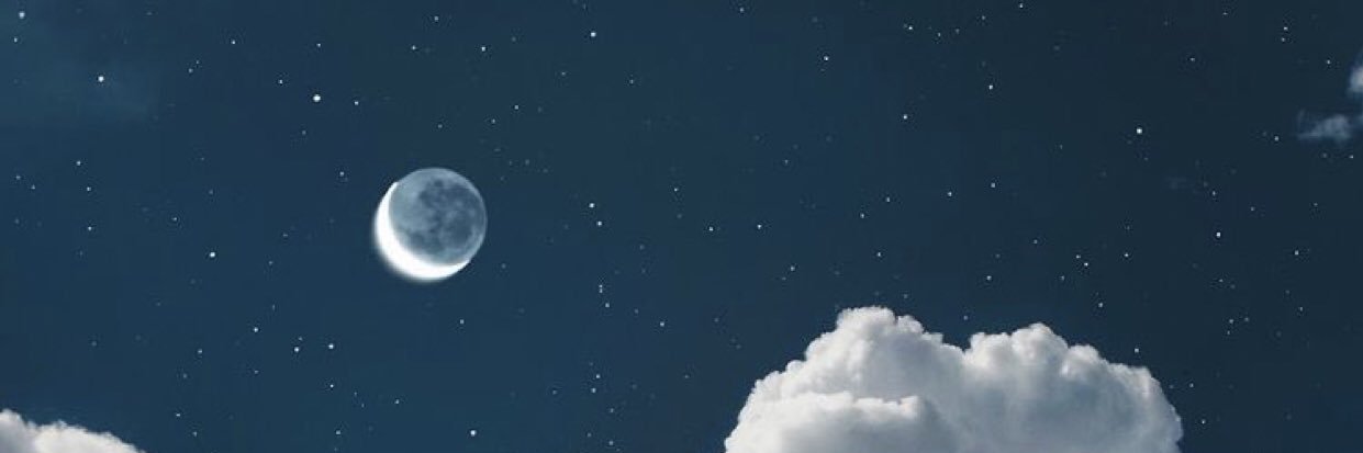 Sarallison's profile banner image