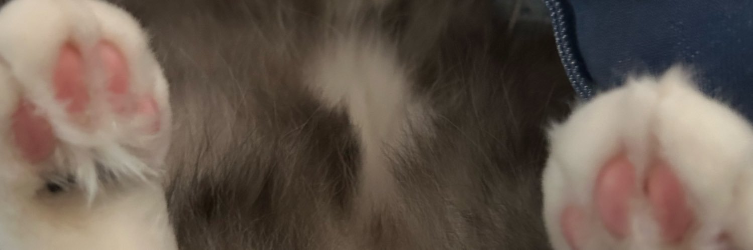 cha_suke358's profile banner image