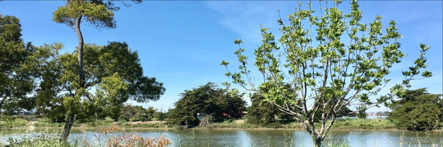 daonespacio's profile banner image