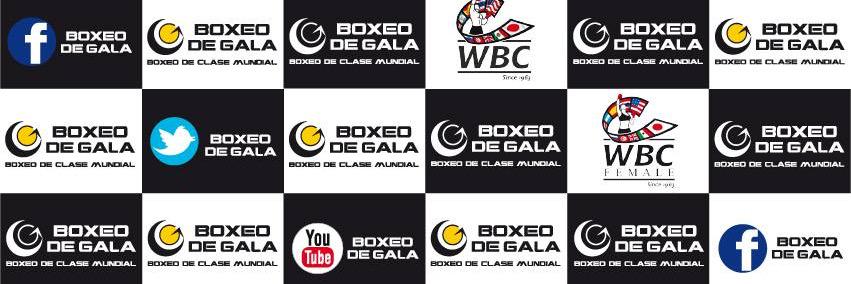 Boxeo de Gala banner