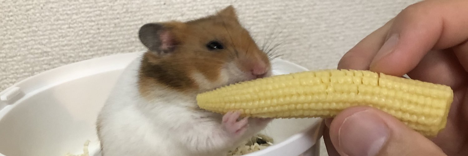 hiii_chan's profile banner image