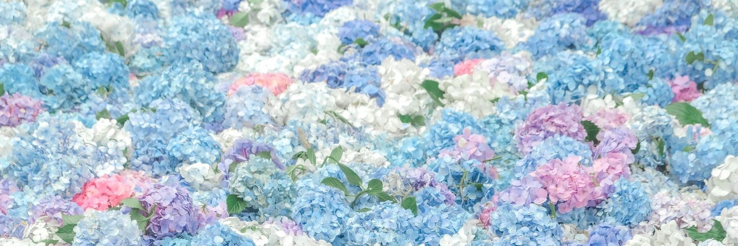 oilceladus's profile banner image
