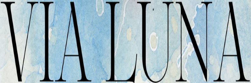 Via Luna banner