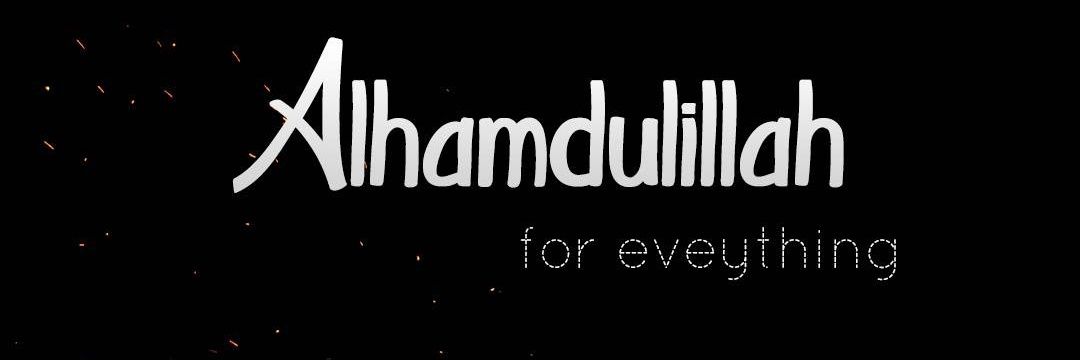 Amir Hamza banner