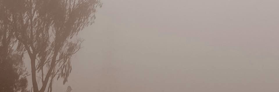 ‏ ‏‏‏﮼ساره banner