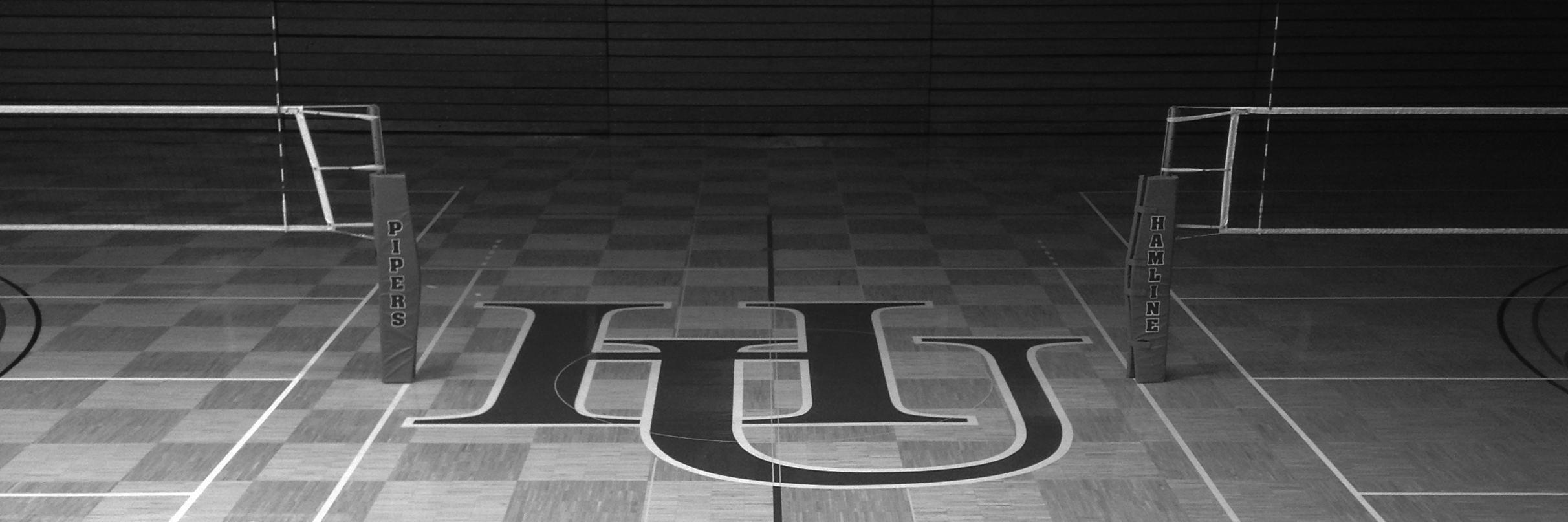 hamlinevball's profile banner image