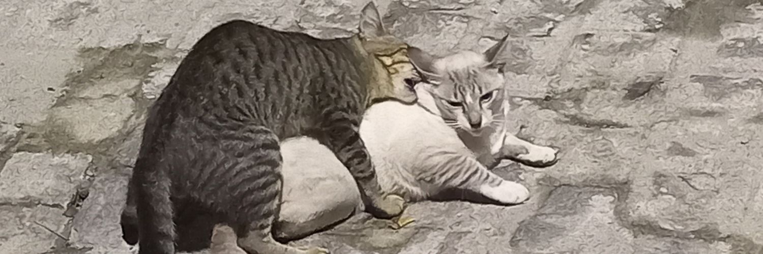 gustavodrade8's profile banner image