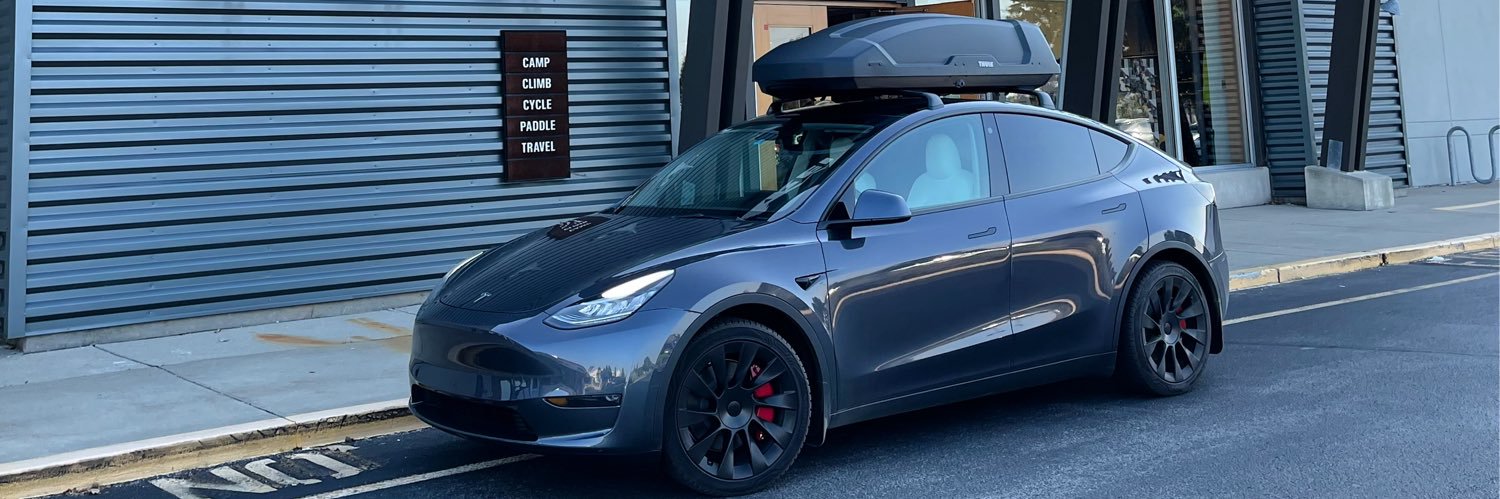 Bearded Tesla's banner