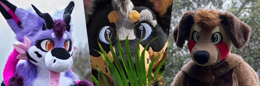 RecklessRaccoonStudios banner