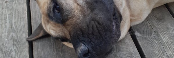 good_jarvis4 Profile Banner