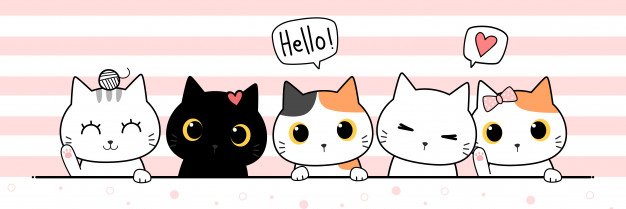 mungilsize's profile banner image