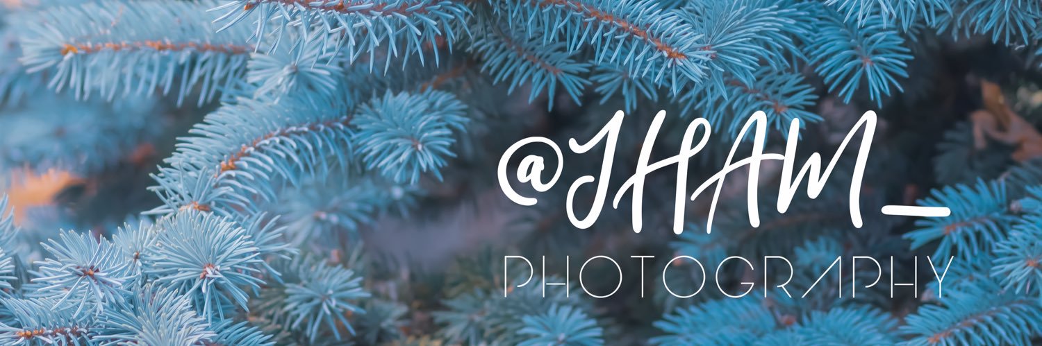 International J banner