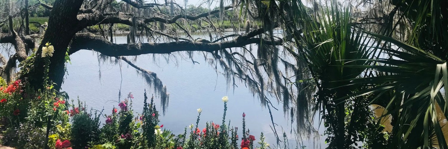 Vanessa Roos, MD banner