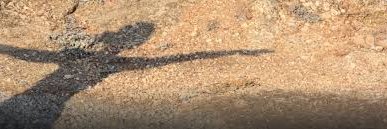 Shirley Morrison-Glancy🏴󠁧󠁢󠁳󠁣󠁴󠁿🇨🇦 she/her banner