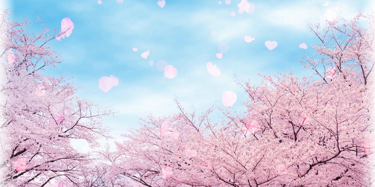 greenfruit_lee's profile banner image