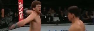 MMA Chef banner