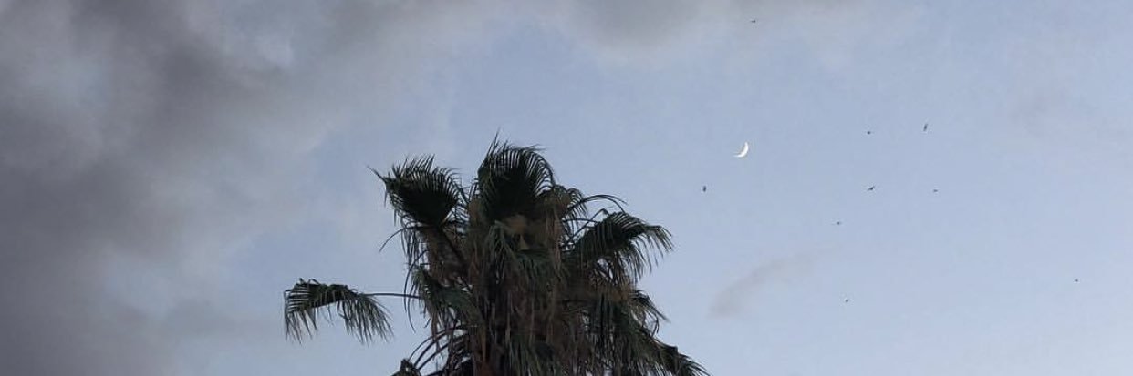 hasretyyy's profile banner image