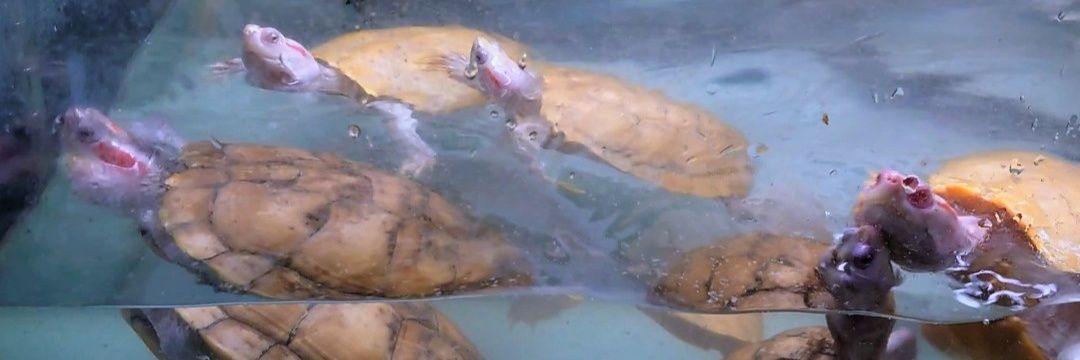 /AILEEN@あいりん（21） banner