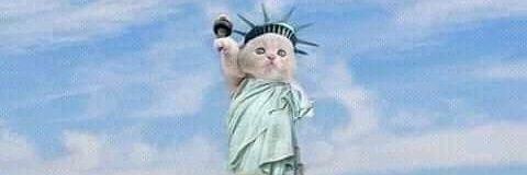 Spade franky | ETHGas ⛽ banner