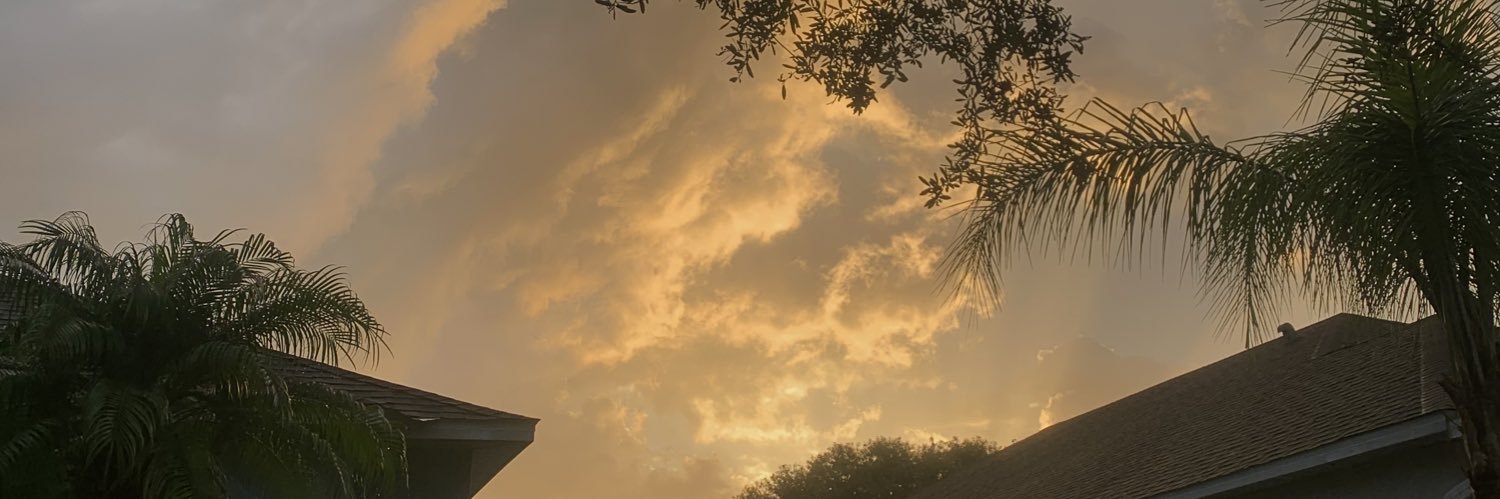 marisellee's profile banner image