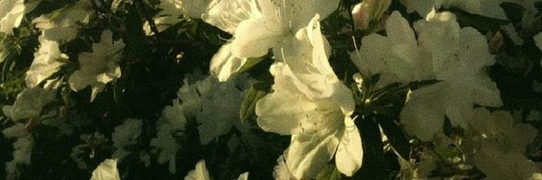 w1ntersahead Profile Banner