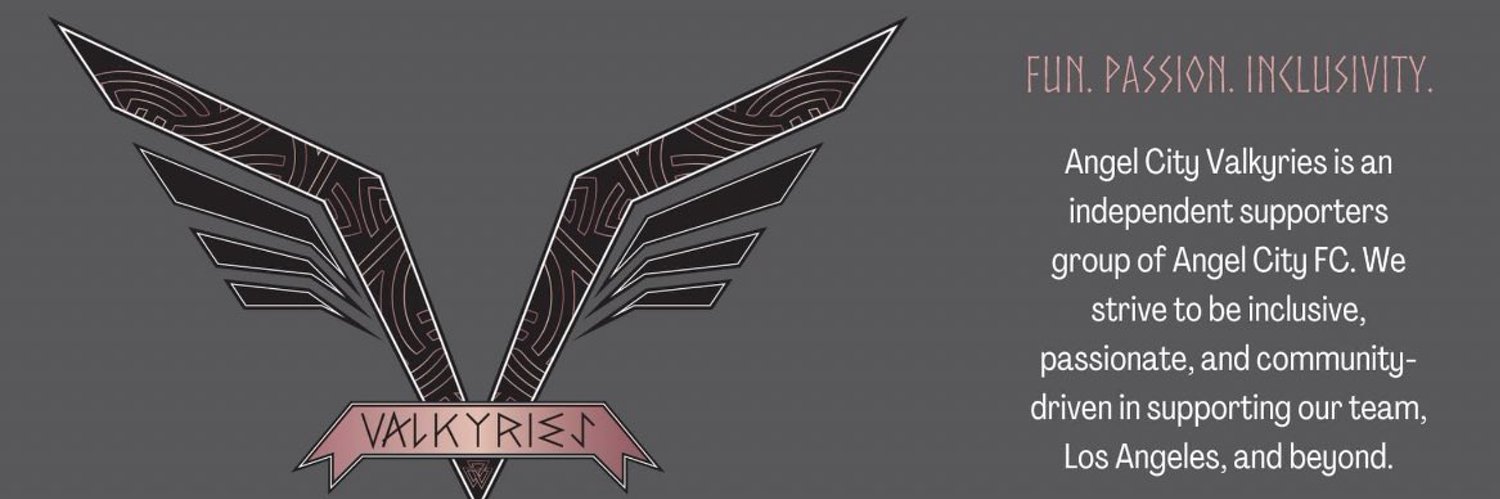 Angel City Valkyries Profile Banner