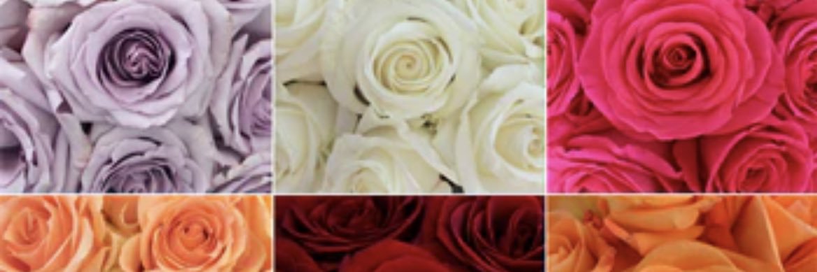 SumayaFahad's profile banner image