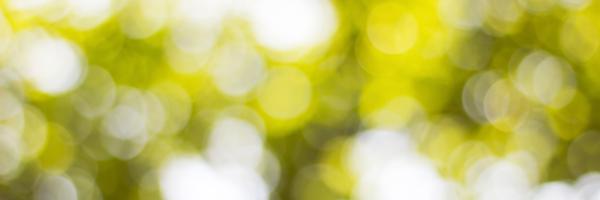 CSS_DEV Profile Banner